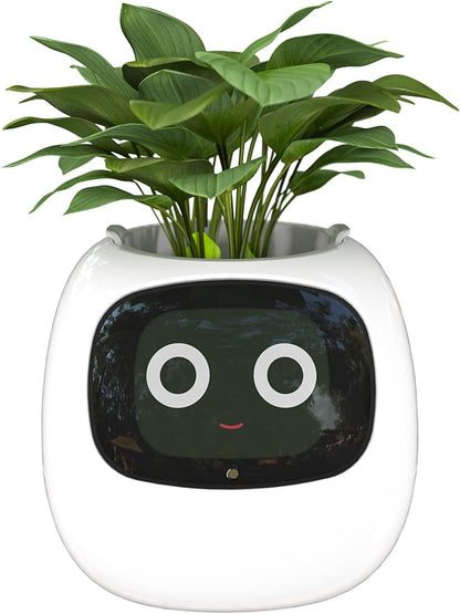 Ivy Ai Plant Pot