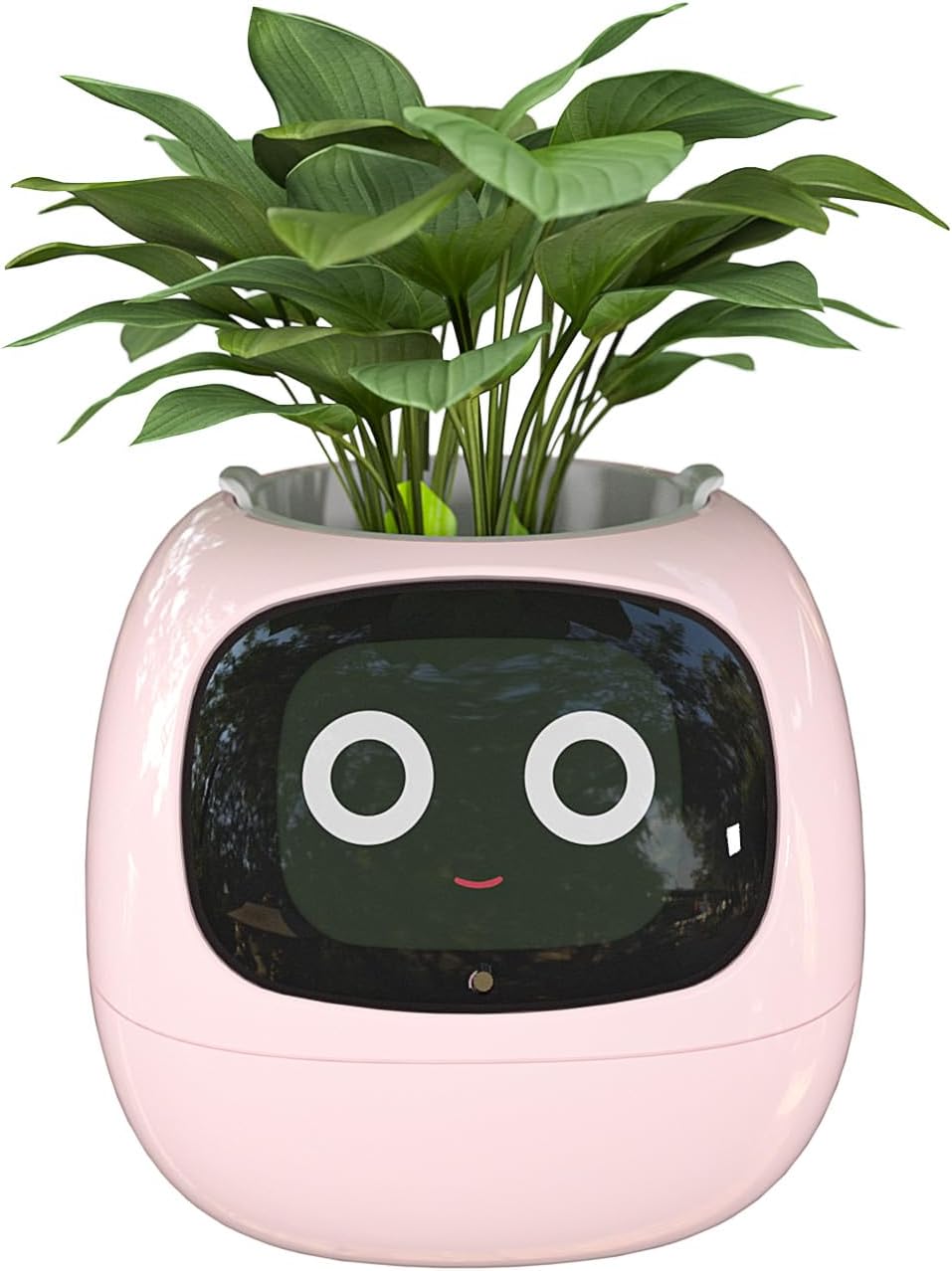 Ivy Ai Plant Pot